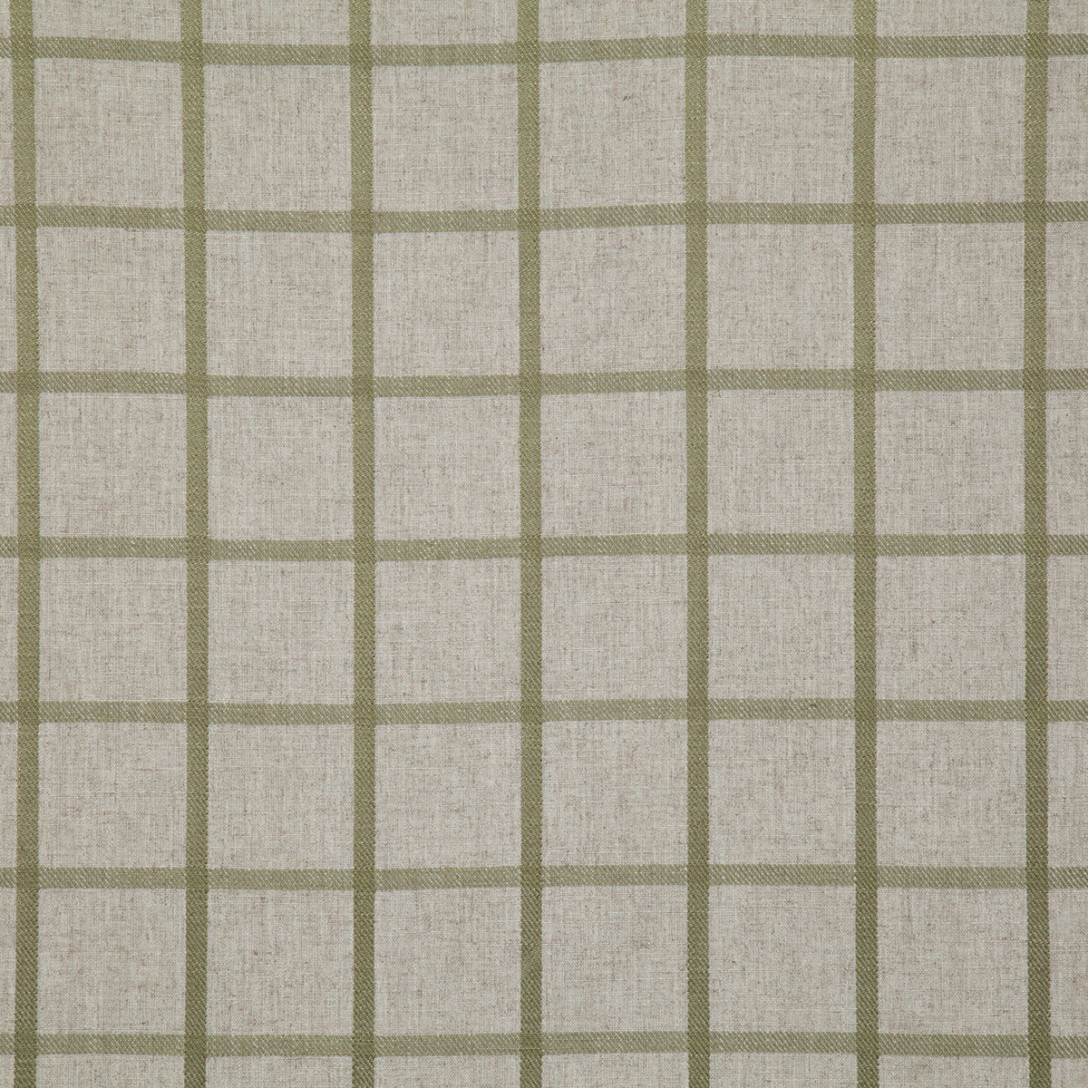 8218-norman-olive-pindler