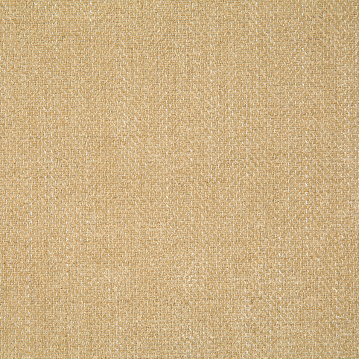 8220-hallard-golden-pindler - Pindler Fabric
