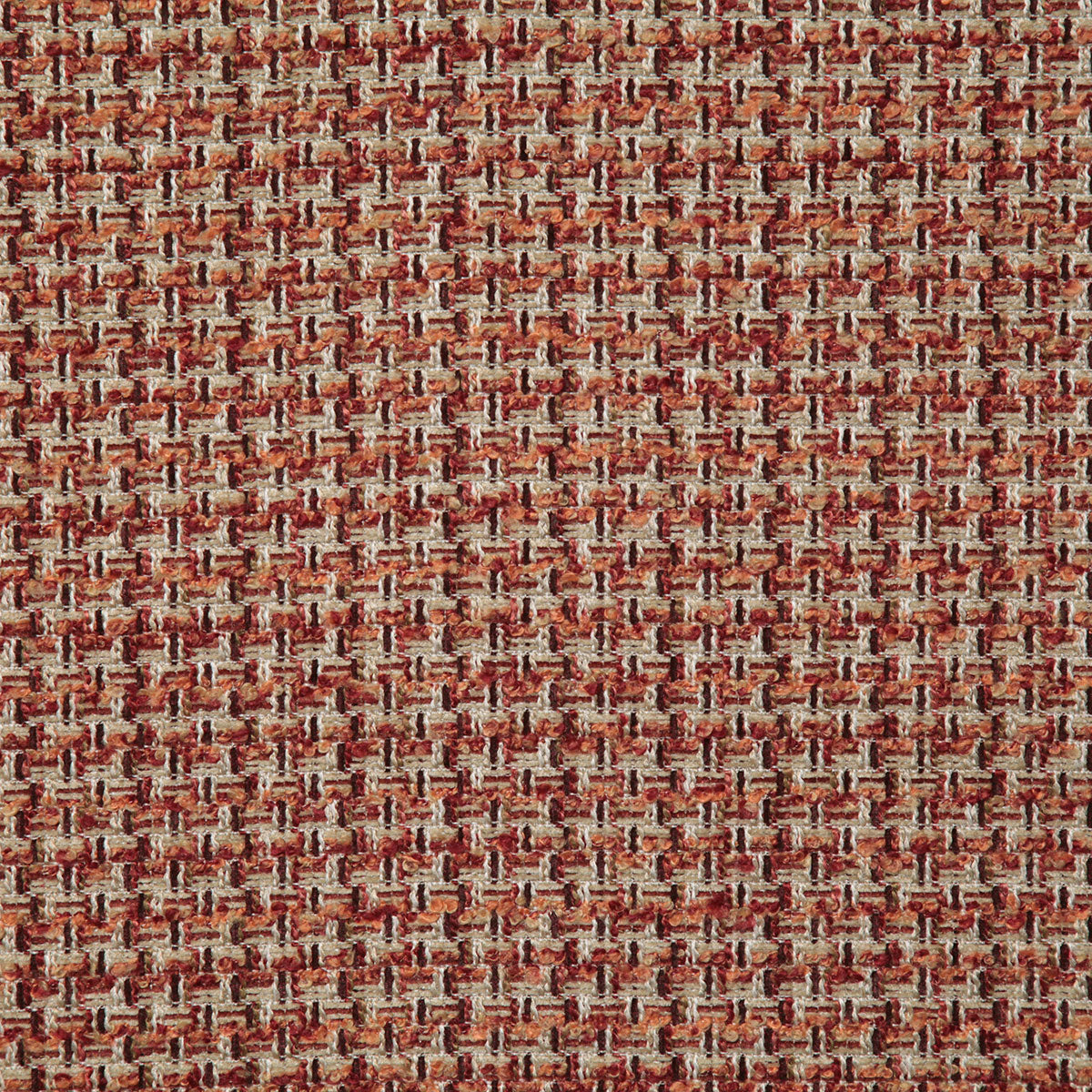 8237-roberto-rhubarb-pindler