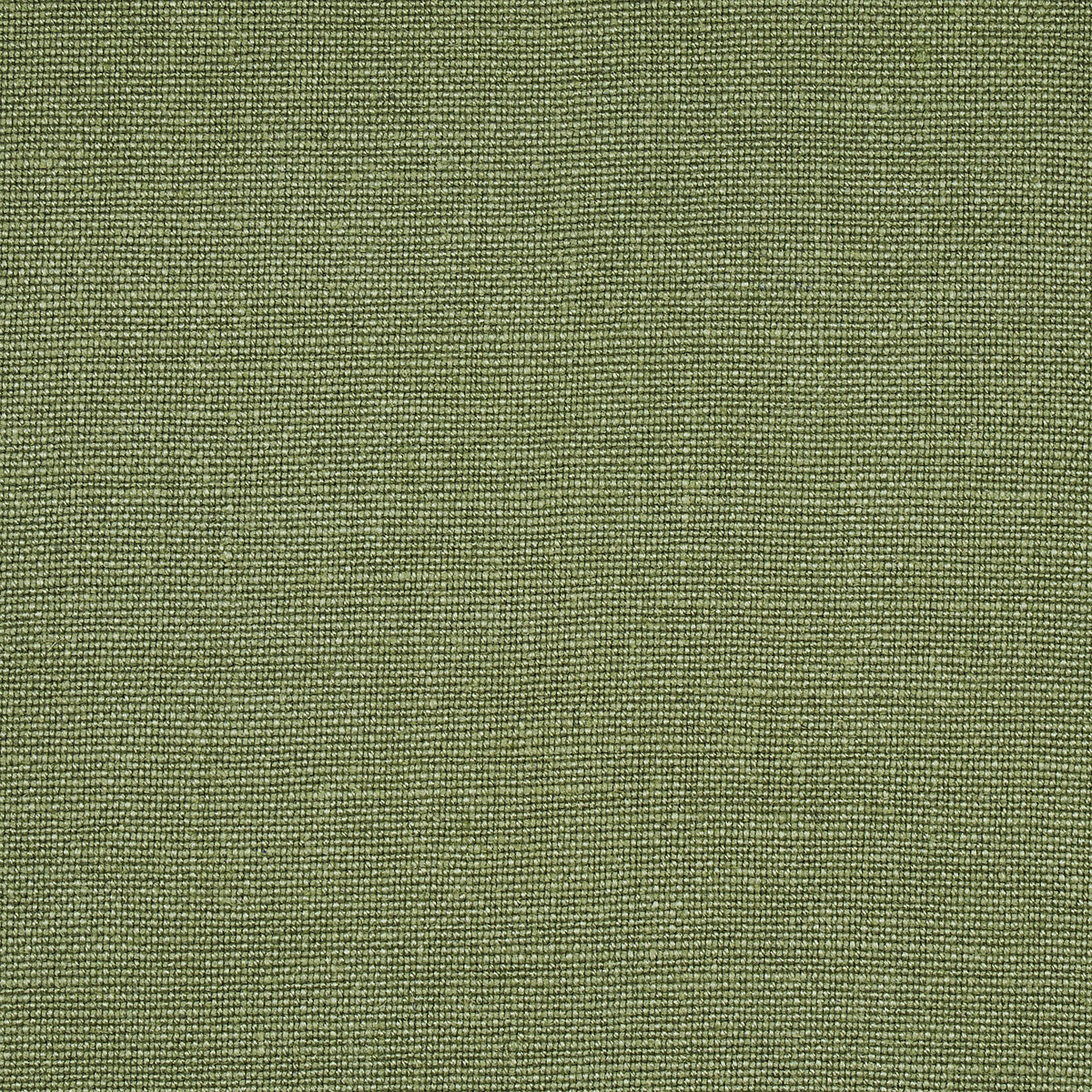 PIET-PERFORMANCE-LINEN-MOSS-SCHUMACHER-82597