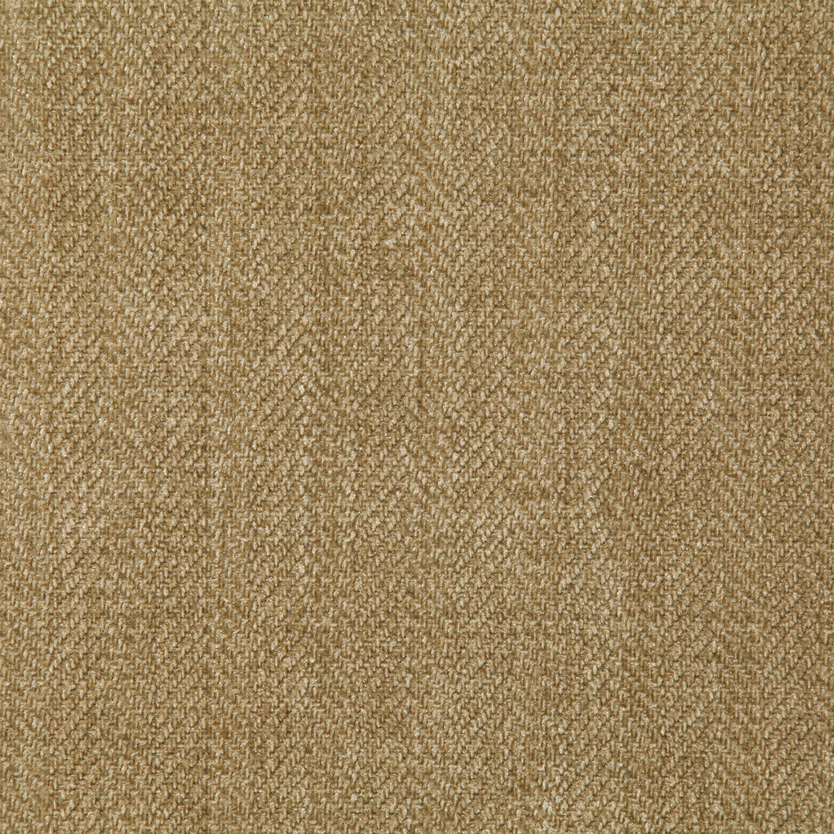 8263-hollins-dune-pindler