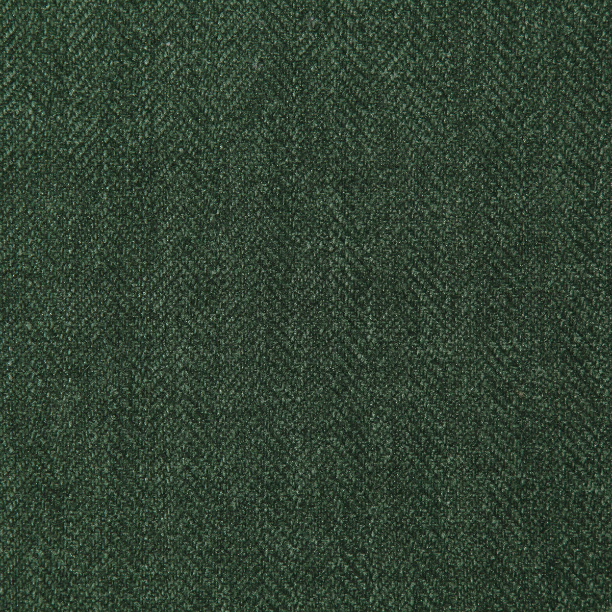 8263-hollins-hunter-pindler