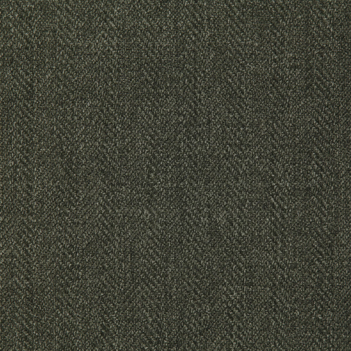 8263-hollins-sage-pindler