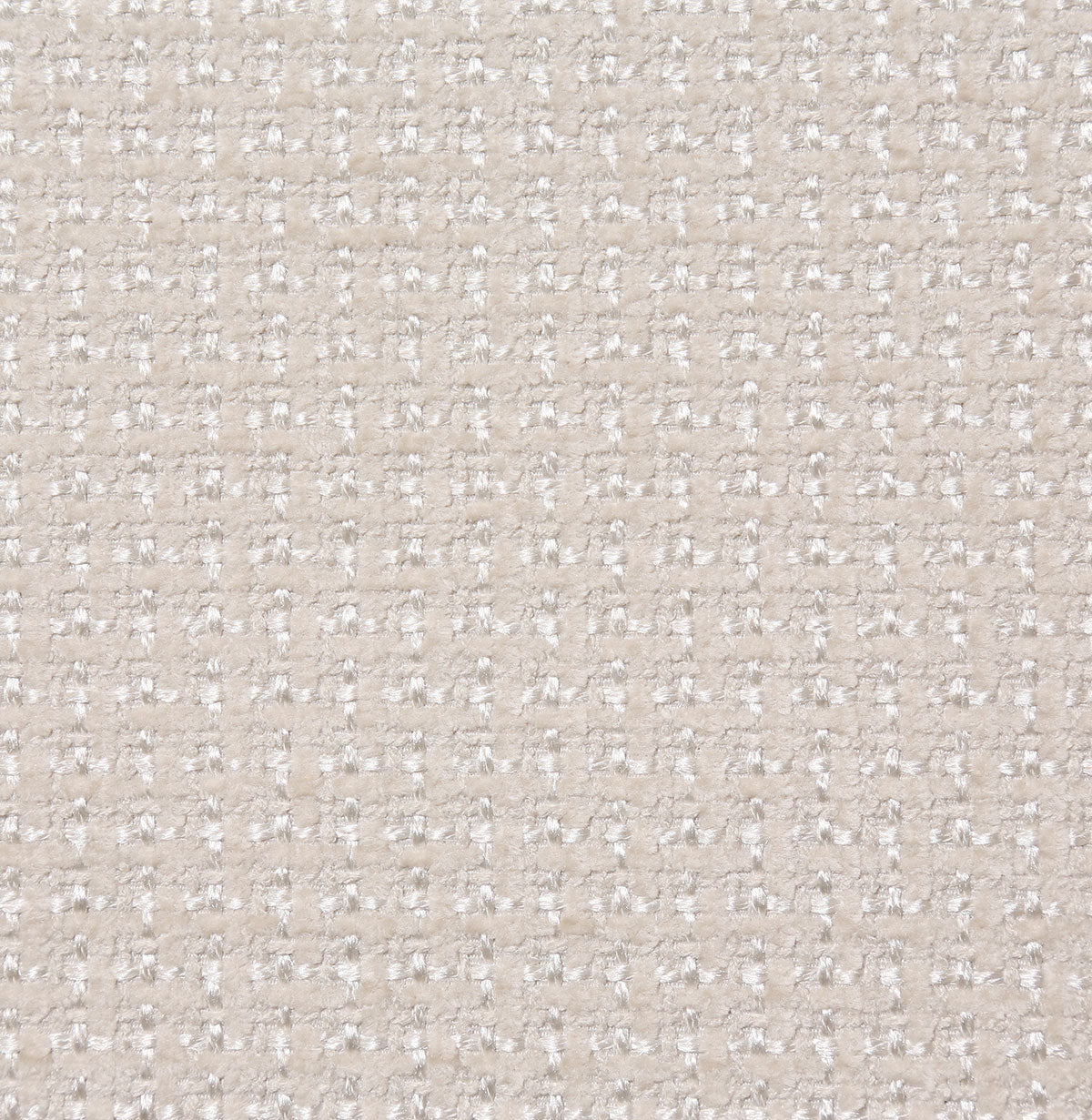 8264-ayton-oyster-pindler