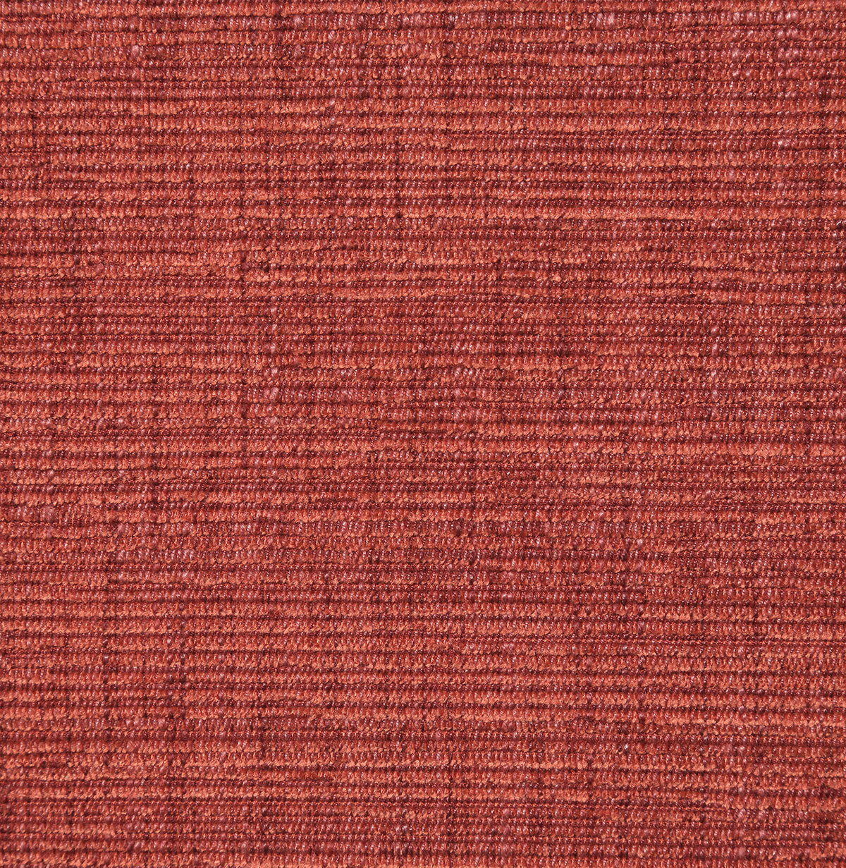 8295-melinda-terra-pindler