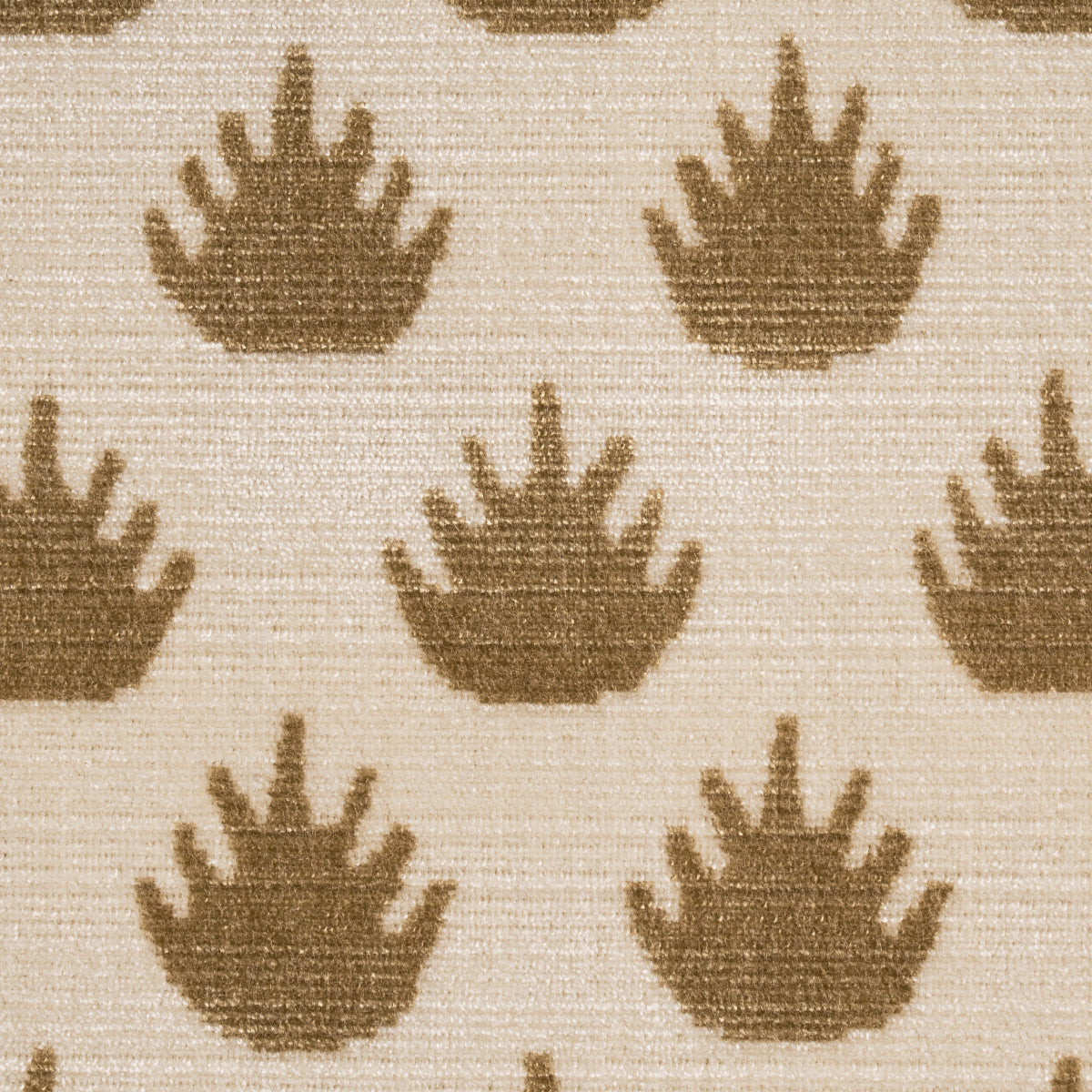 CORONATION-VELVET-CAMEL-SCHUMACHER-82981