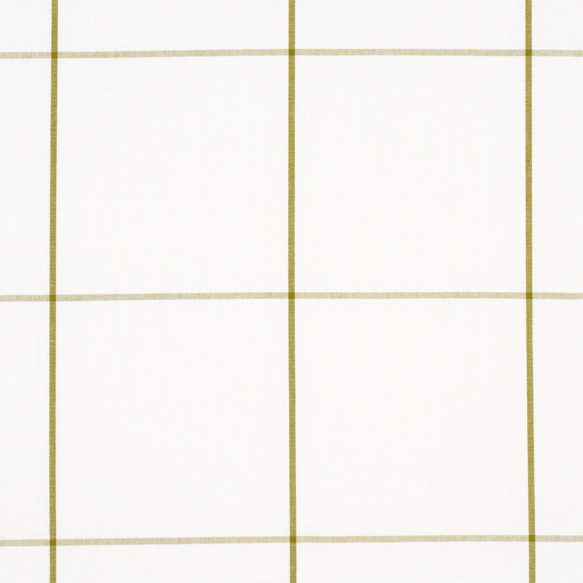 WOODMAN-CHECK-OLIVE-SCHUMACHER-83033