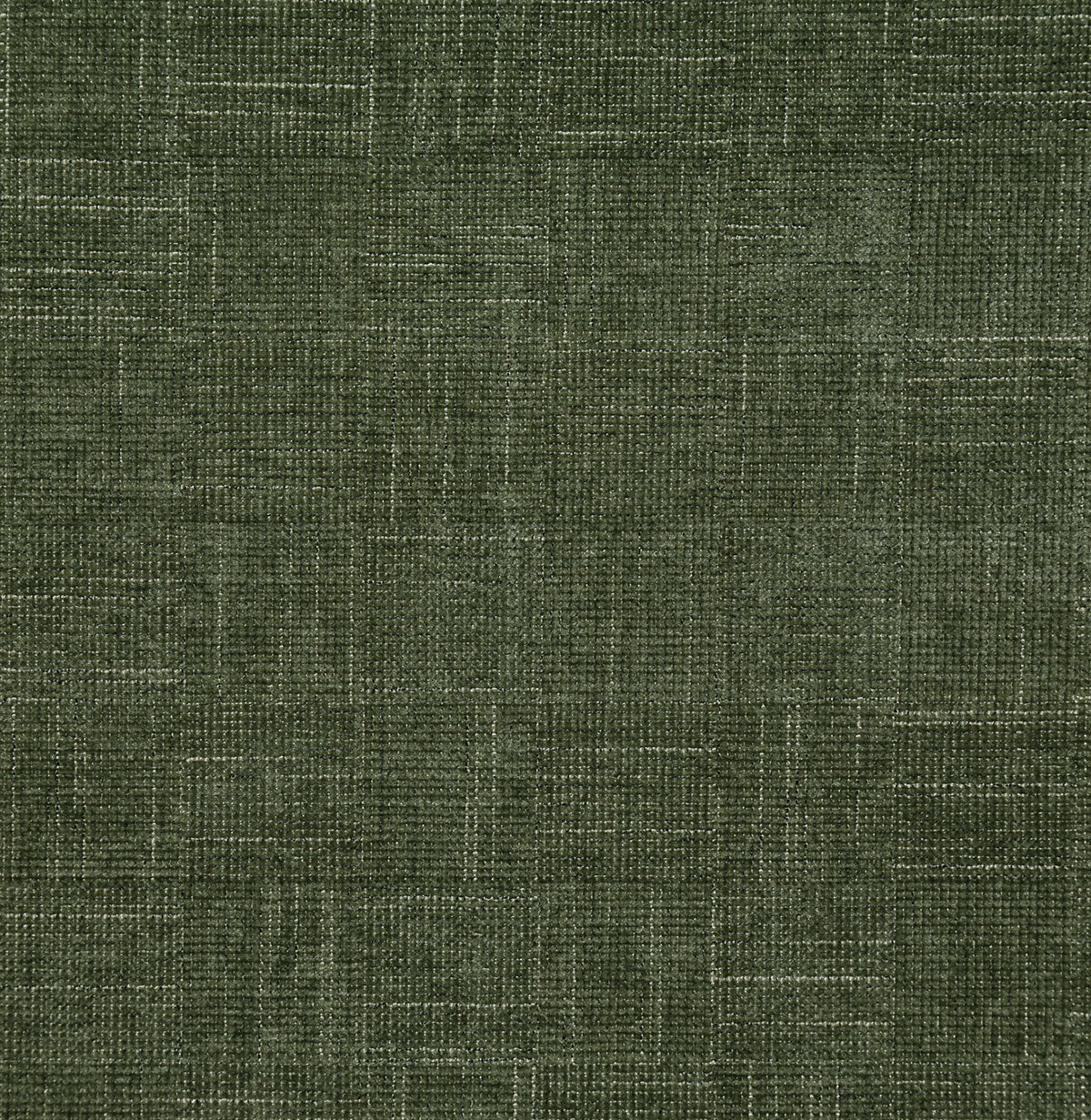 8320-xavier-forest-pindler