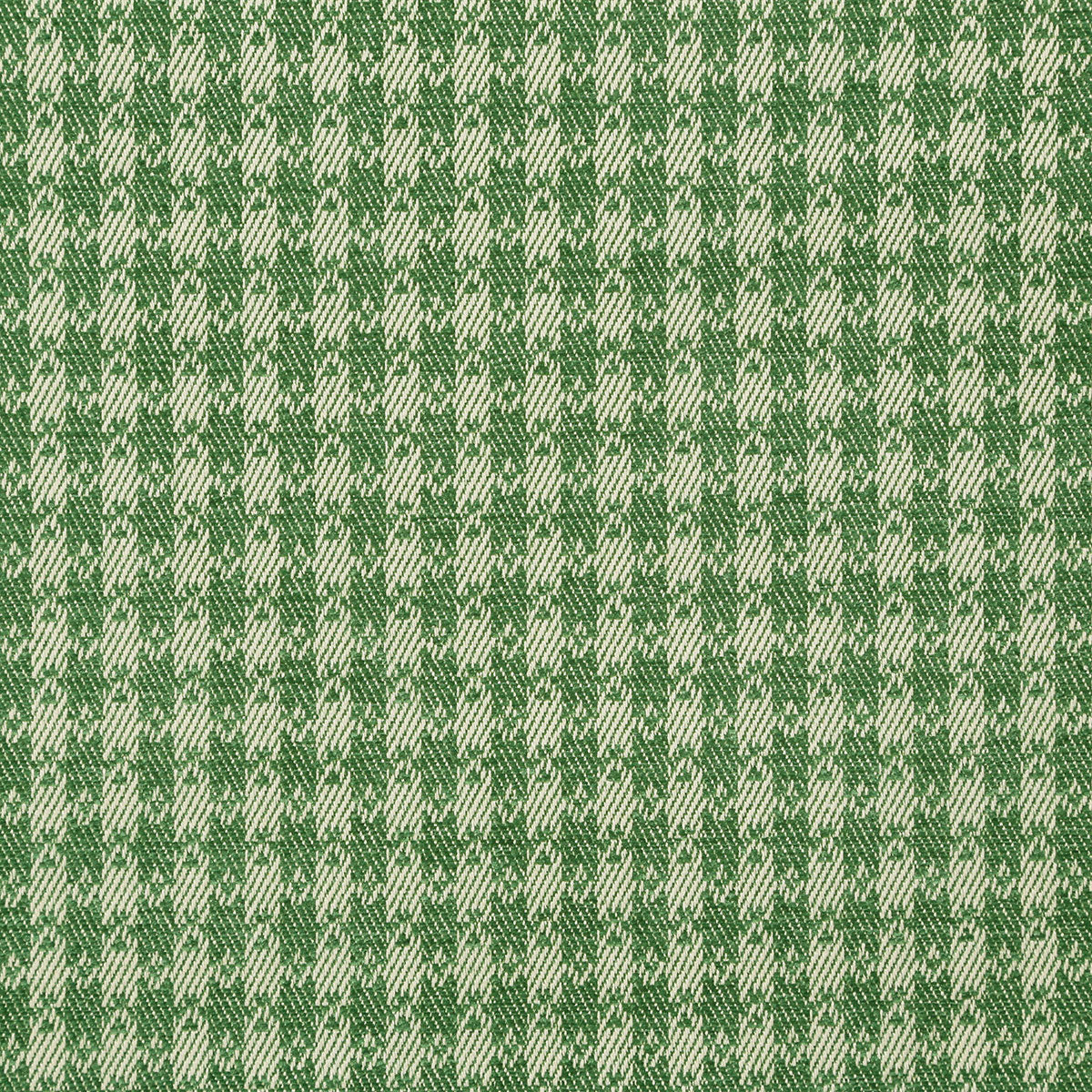8327-pembroke-fern-pindler