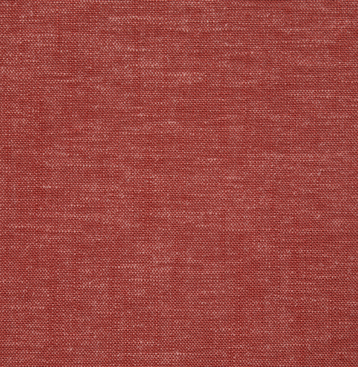 8342-gerald-rhubarb-pindler