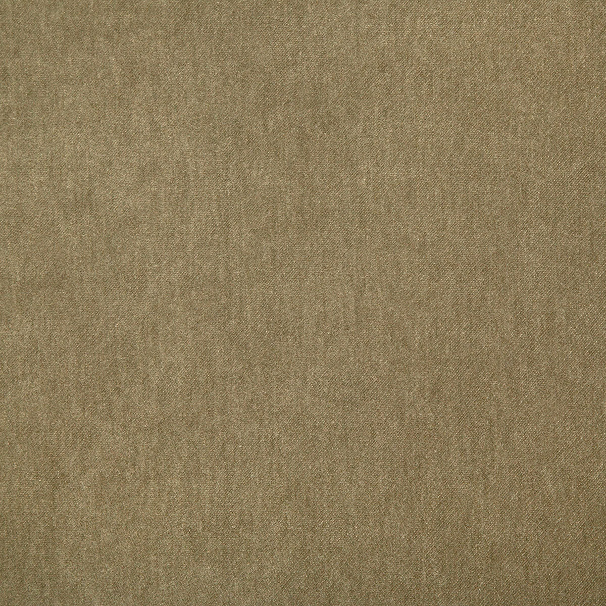 8348-kiara-cedar-pindler