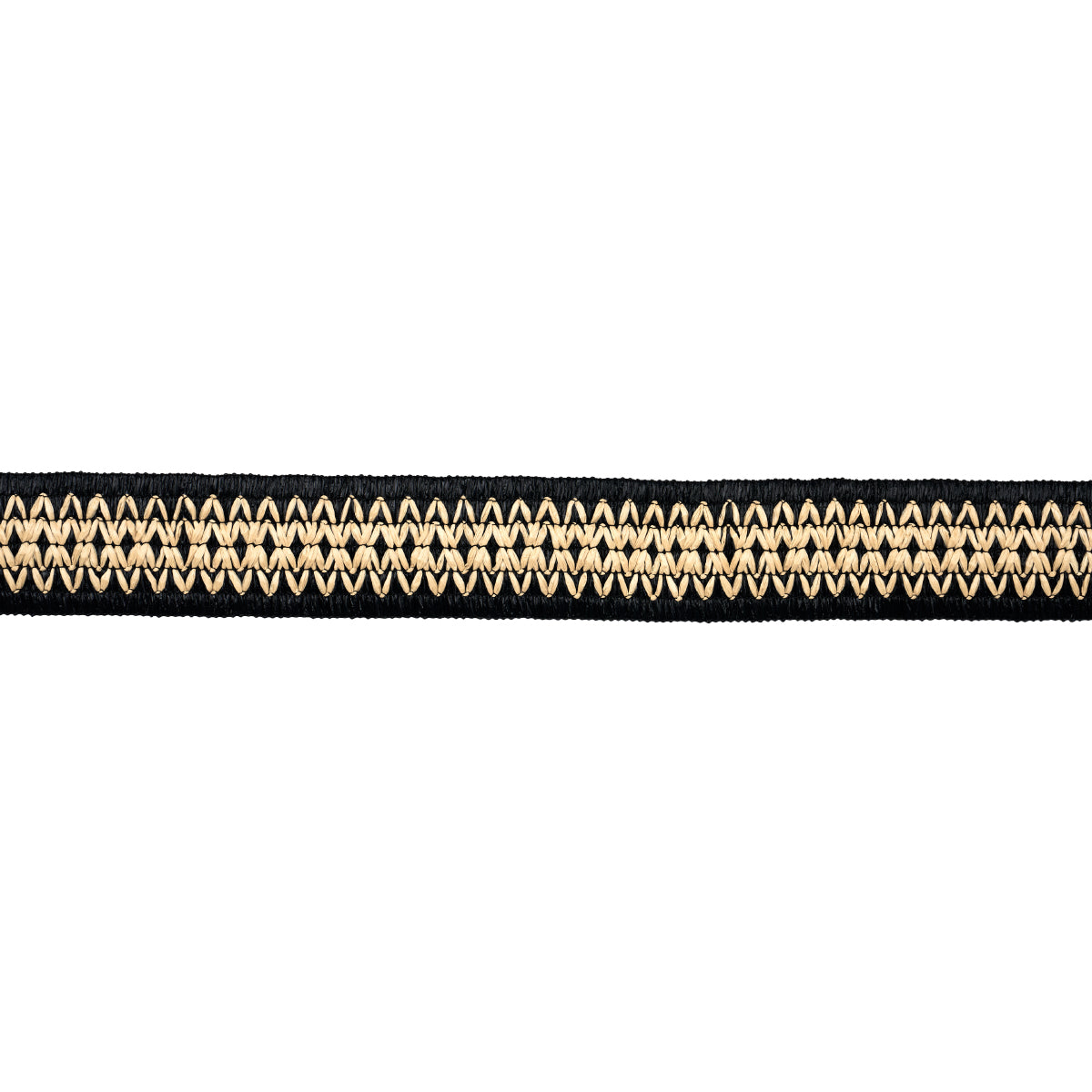 RAPHIINAE-TAPE-BLACK-SCHUMACHER-83551