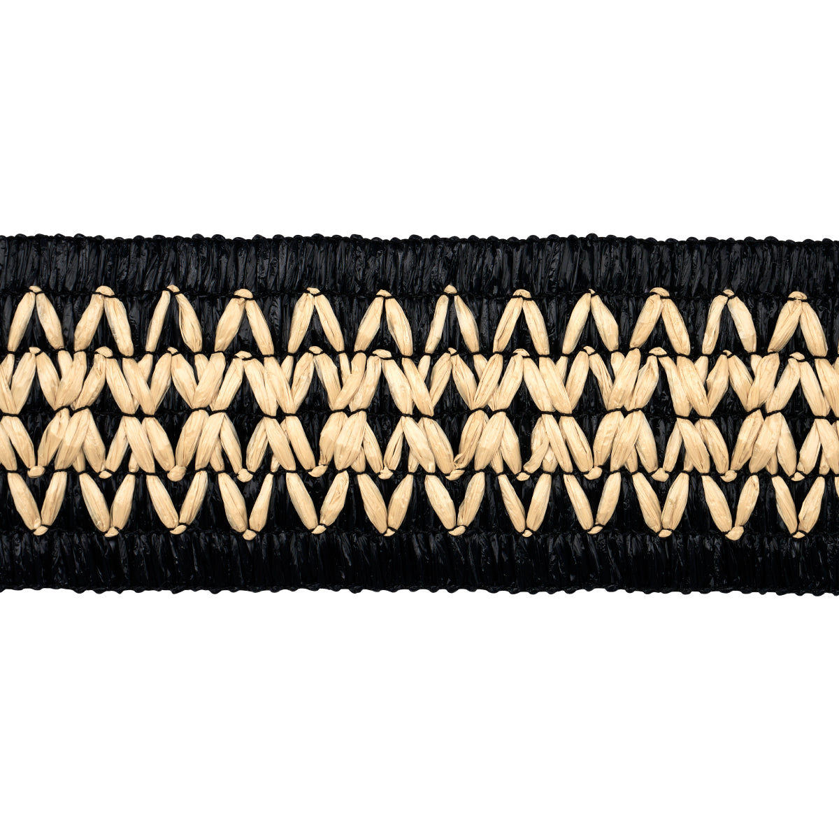 RAPHIINAE-TAPE-BLACK-SCHUMACHER-83551