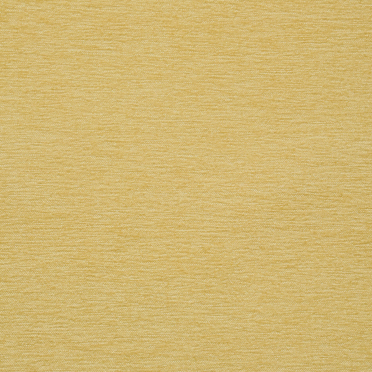8355-kirk-butter-pindler