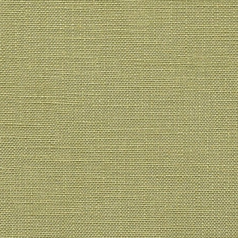 8357-susannah-palm-pindler