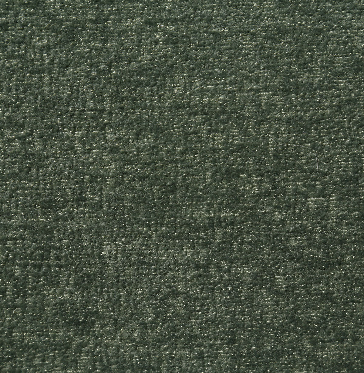 8367-amy-palm-pindler