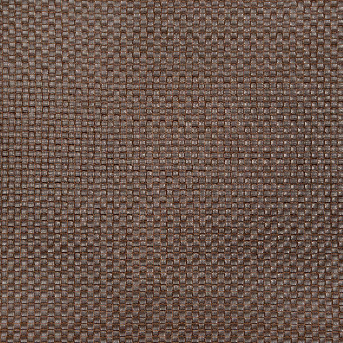 8368-kayce-chocolate-pindler