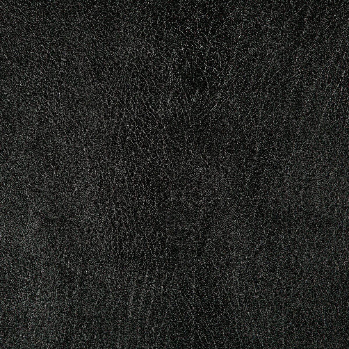 8371-rowdy-black-pindler - Pindler Fabric