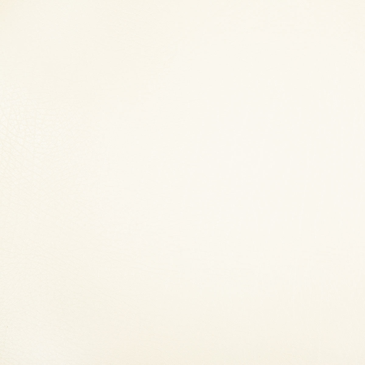 8371-rowdy-white-pindler