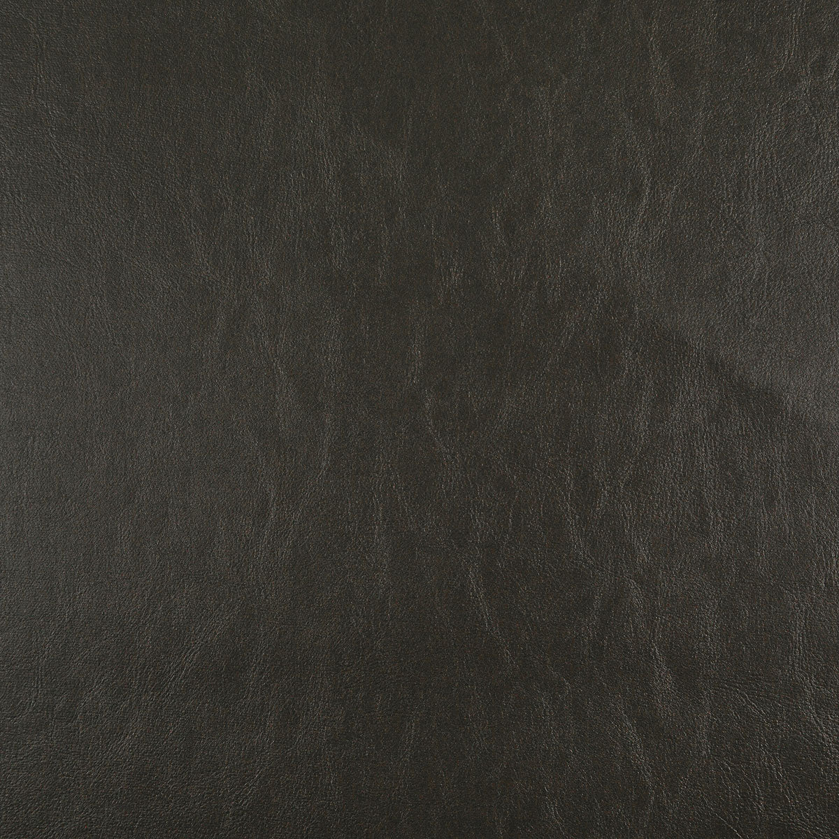 8372-carter-bark-pindler - Pindler Fabric