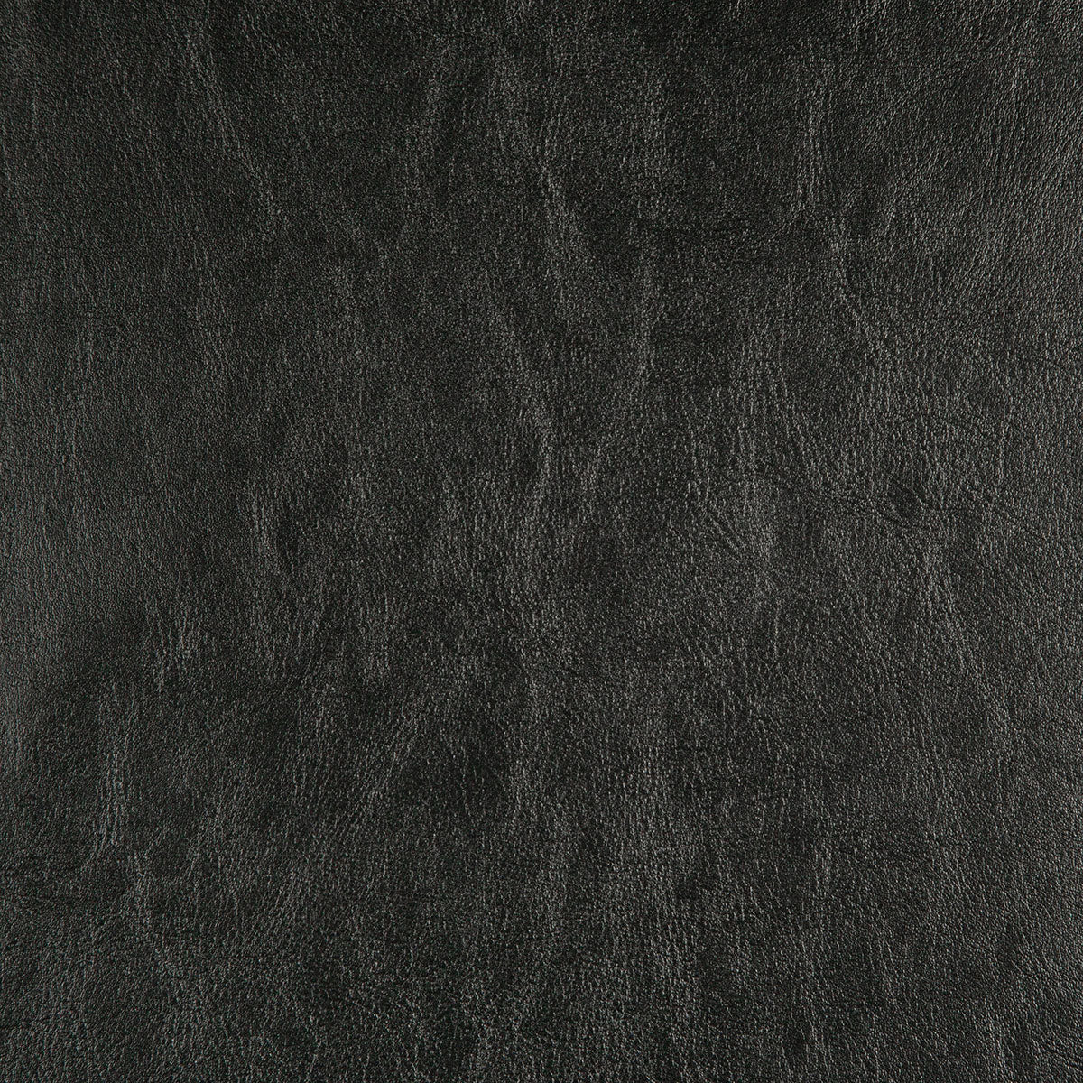 8372-carter-black-pindler - Pindler Fabric