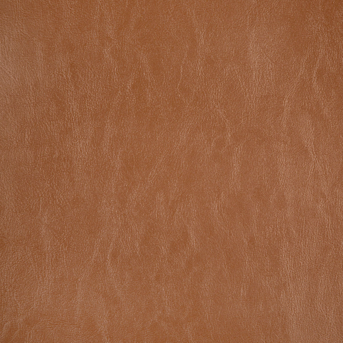 8372-carter-chestnut-pindler
