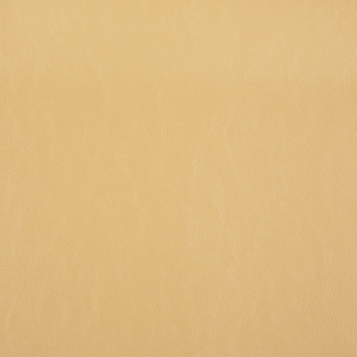 8372-carter-papyrus-pindler