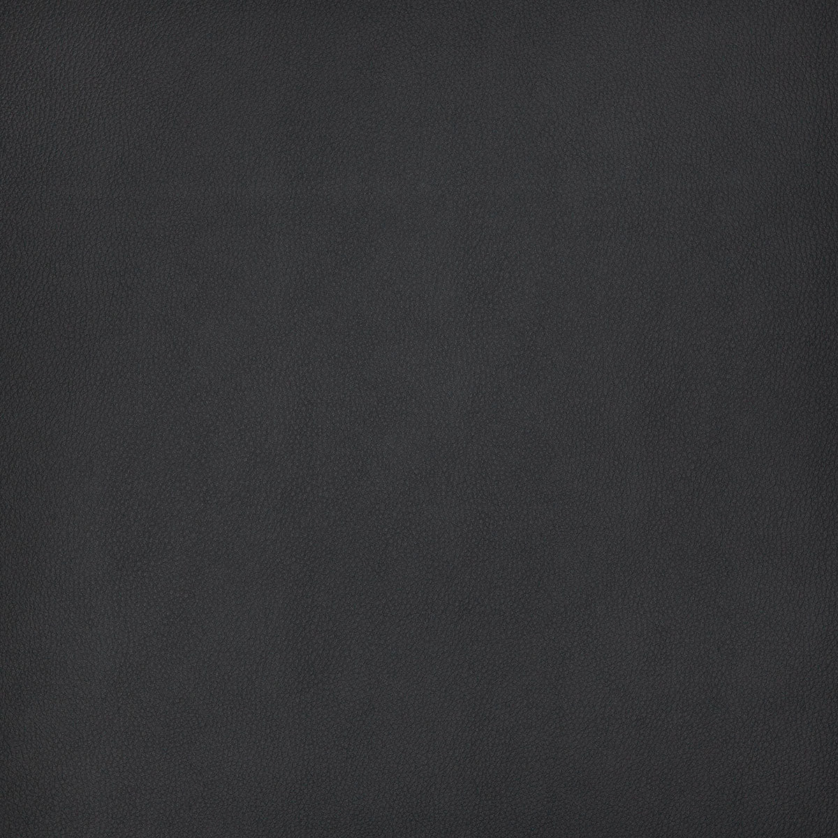 8374-powell-charcoal-pindler - Pindler Fabric