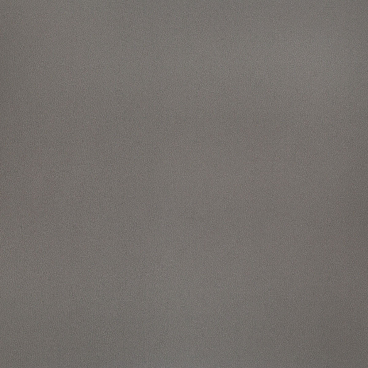 8374-powell-nickel-pindler - Pindler Fabric