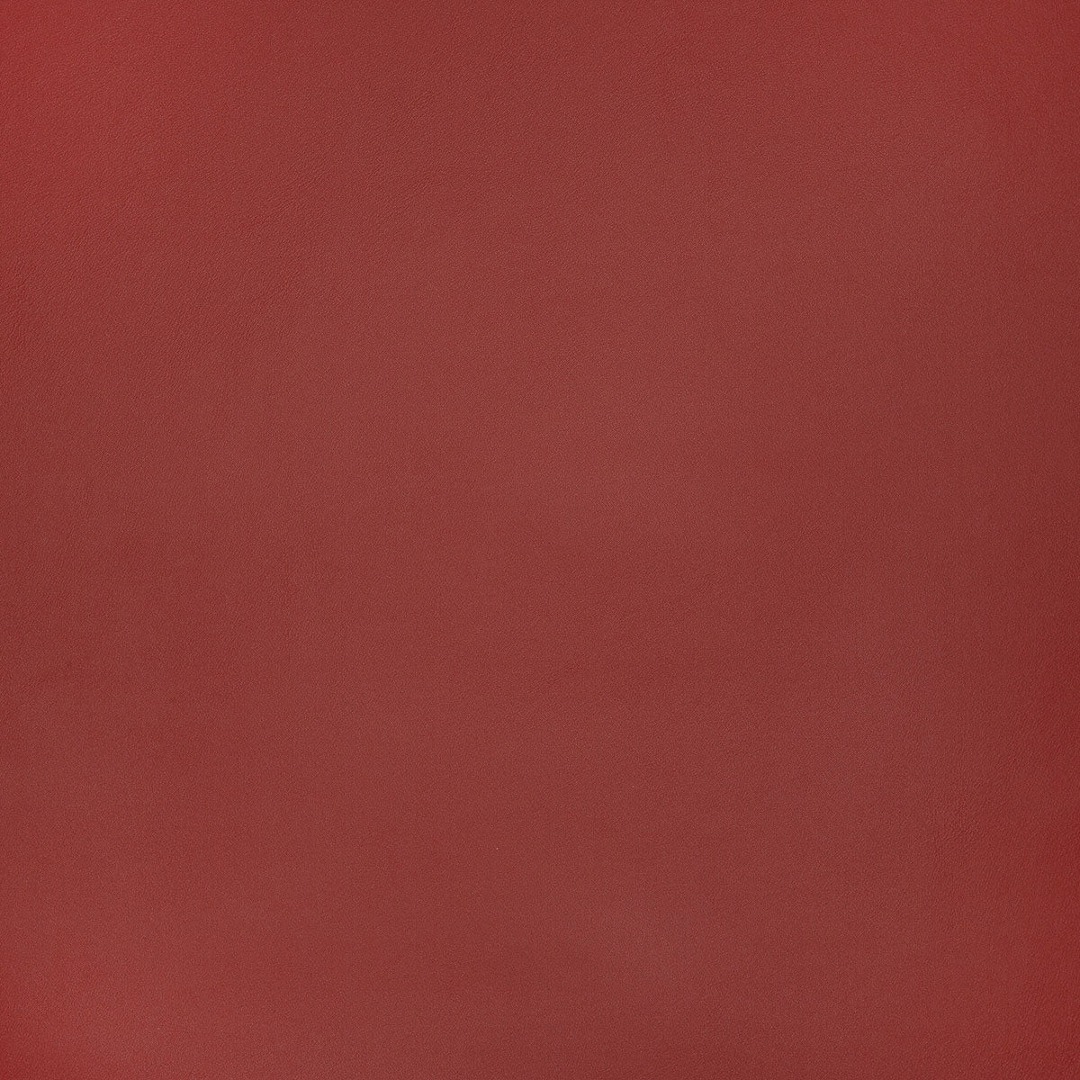 8375-belmont-cardinal-pindler