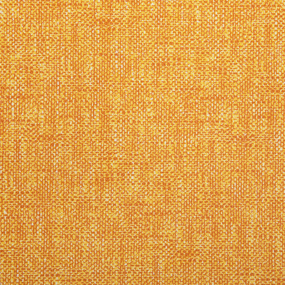 8377-lennox-sunny-pindler