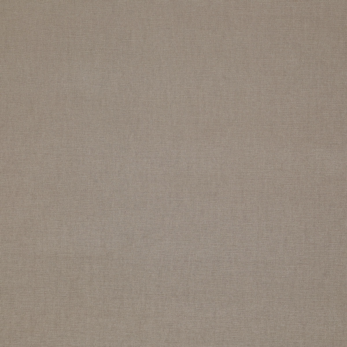 8385-preston-macadamia-pindler
