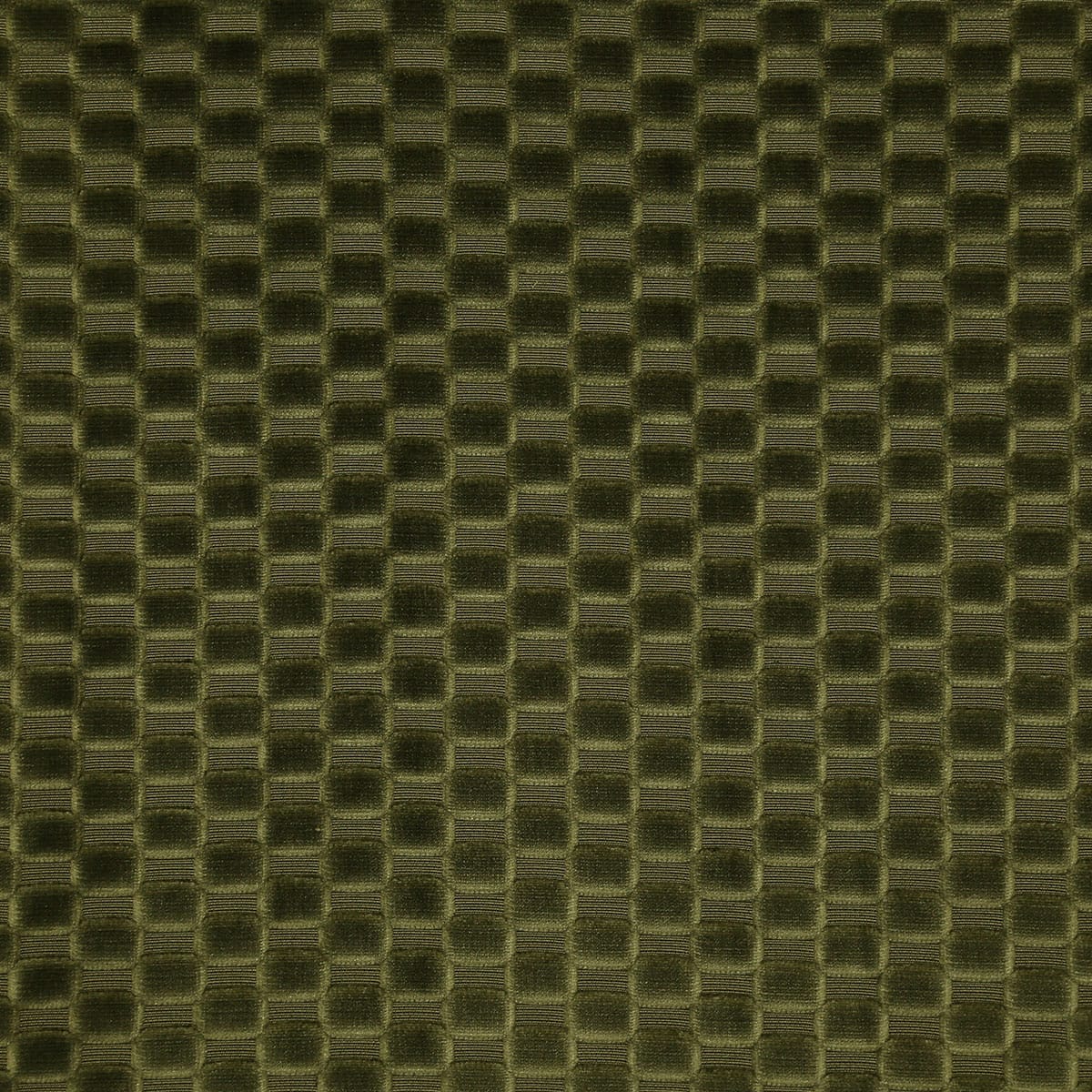 8388-axel-loden-pindler