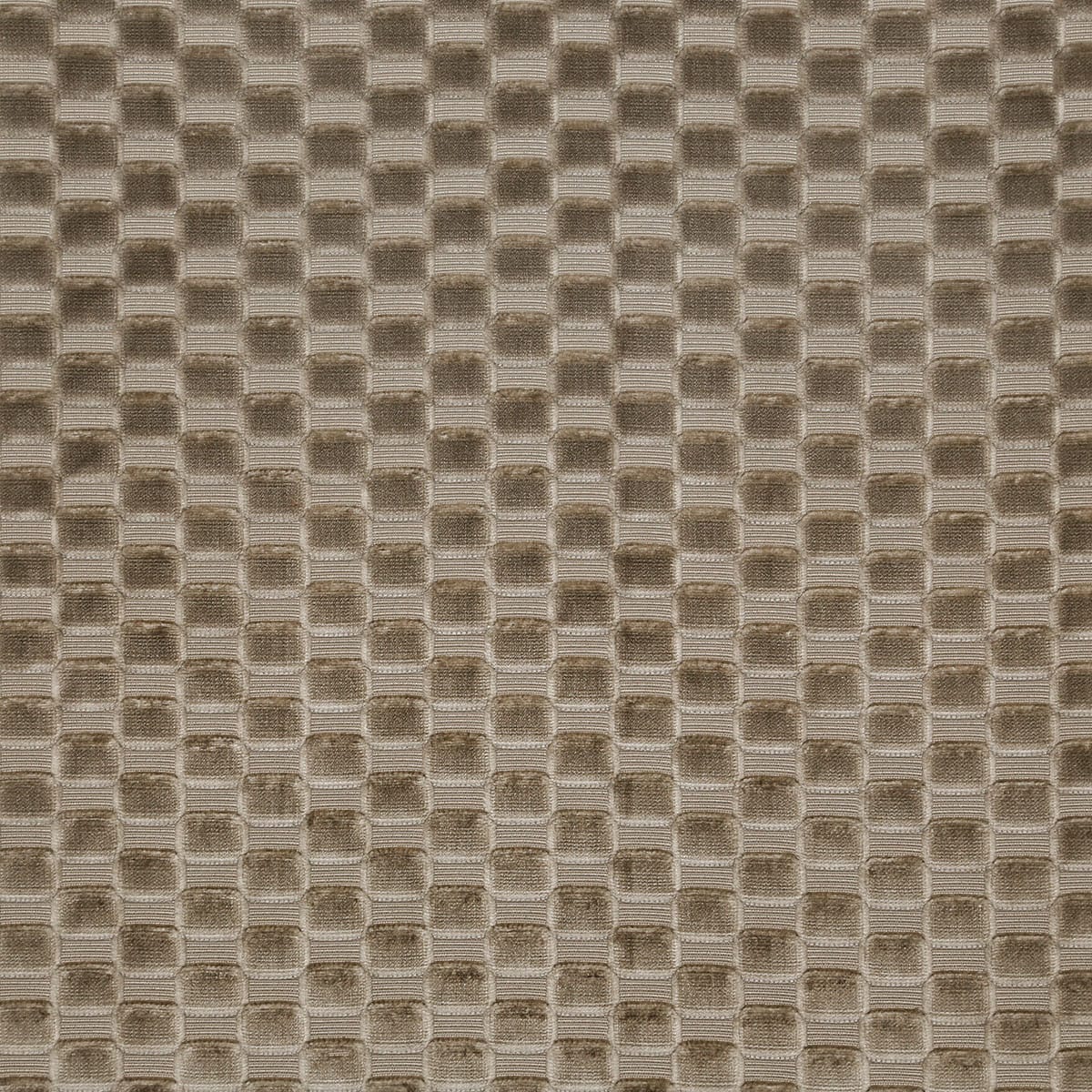 8388-axel-mink-pindler