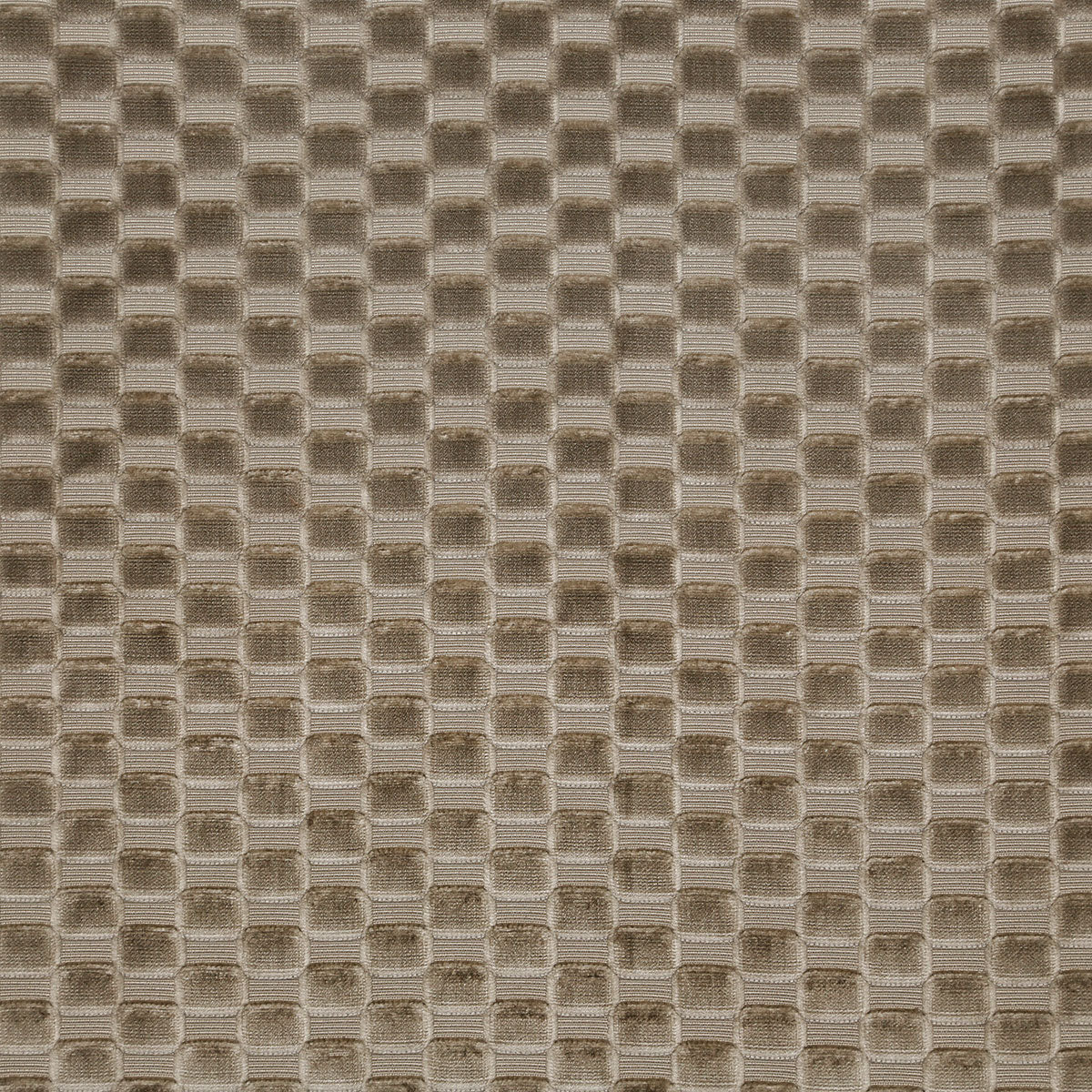 8388-axel-mink-pindler - Pindler Tela