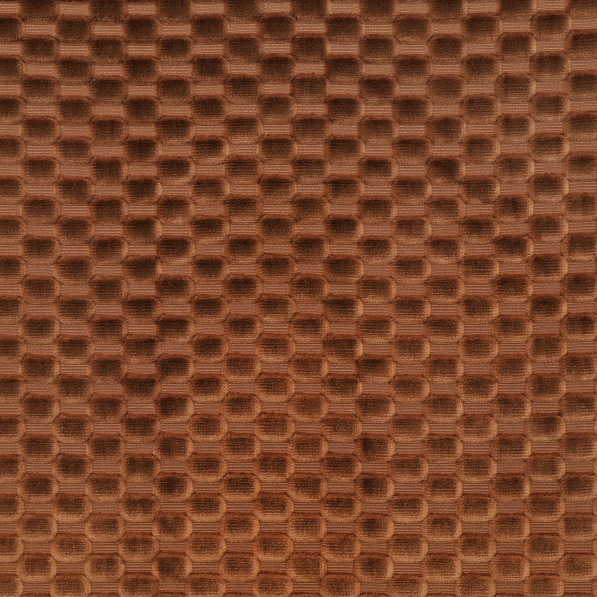 8388-axel-spice-pindler