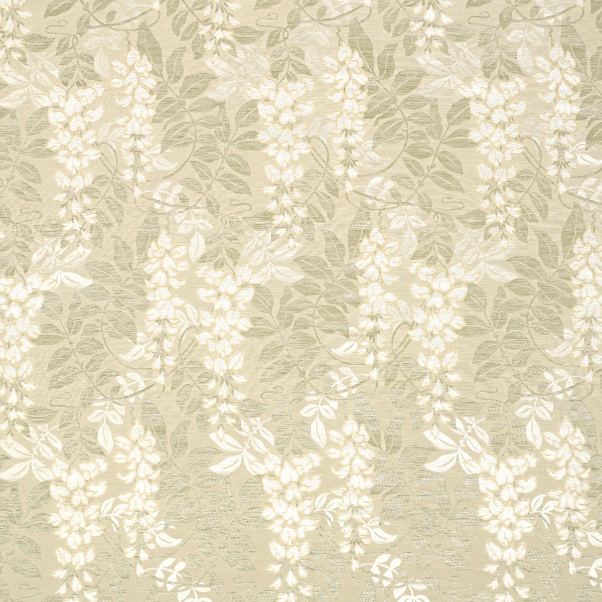 LUCIA-WISTERIA-MOSS-SCHUMACHER-83901