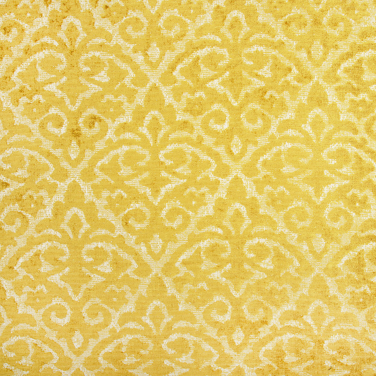 8400-frieda-sunshine-pindler