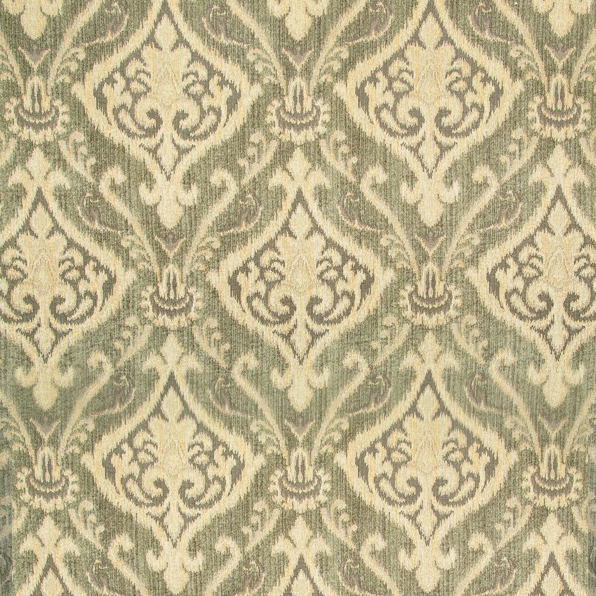 8401-rex-lichen-pindler