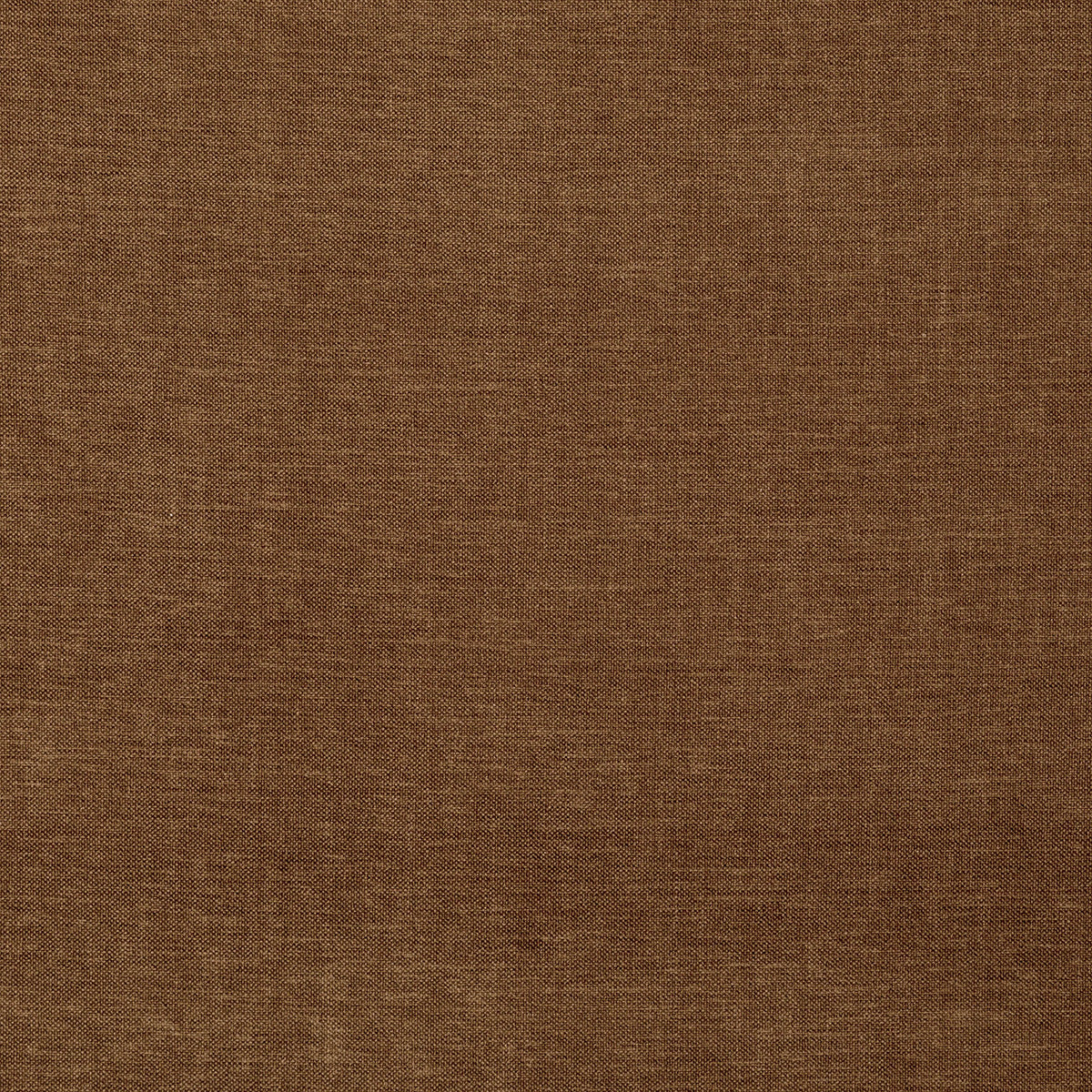 8402-paxton-camel-pindler