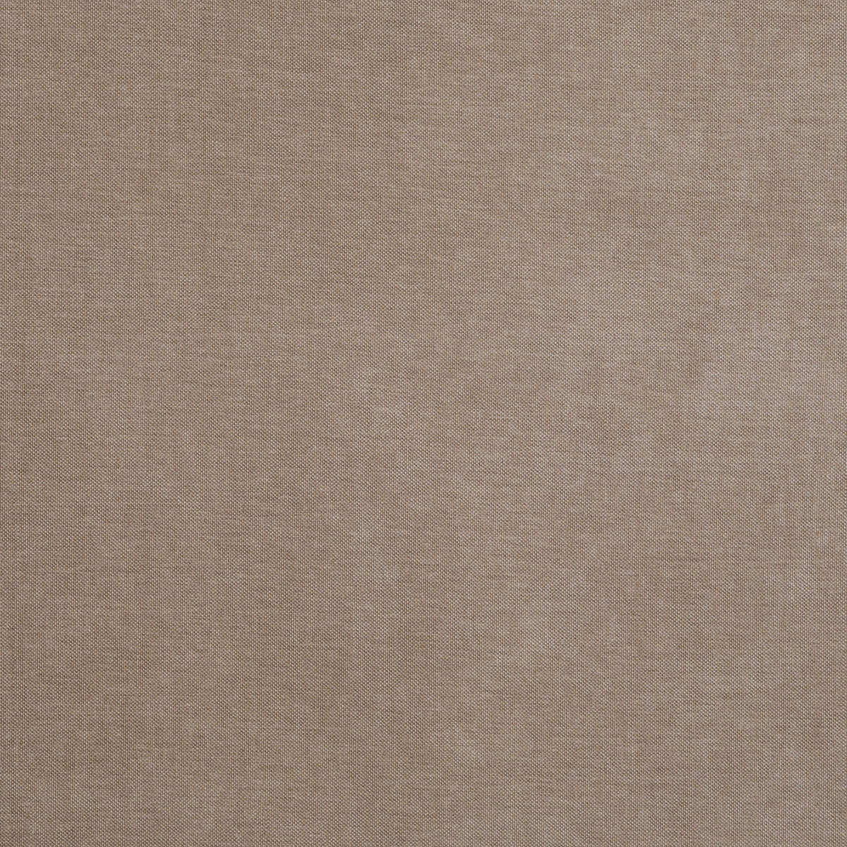 8402-paxton-oatmeal-pindler