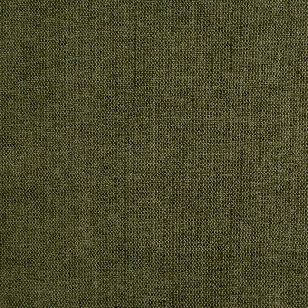 8402-paxton-palm-pindler