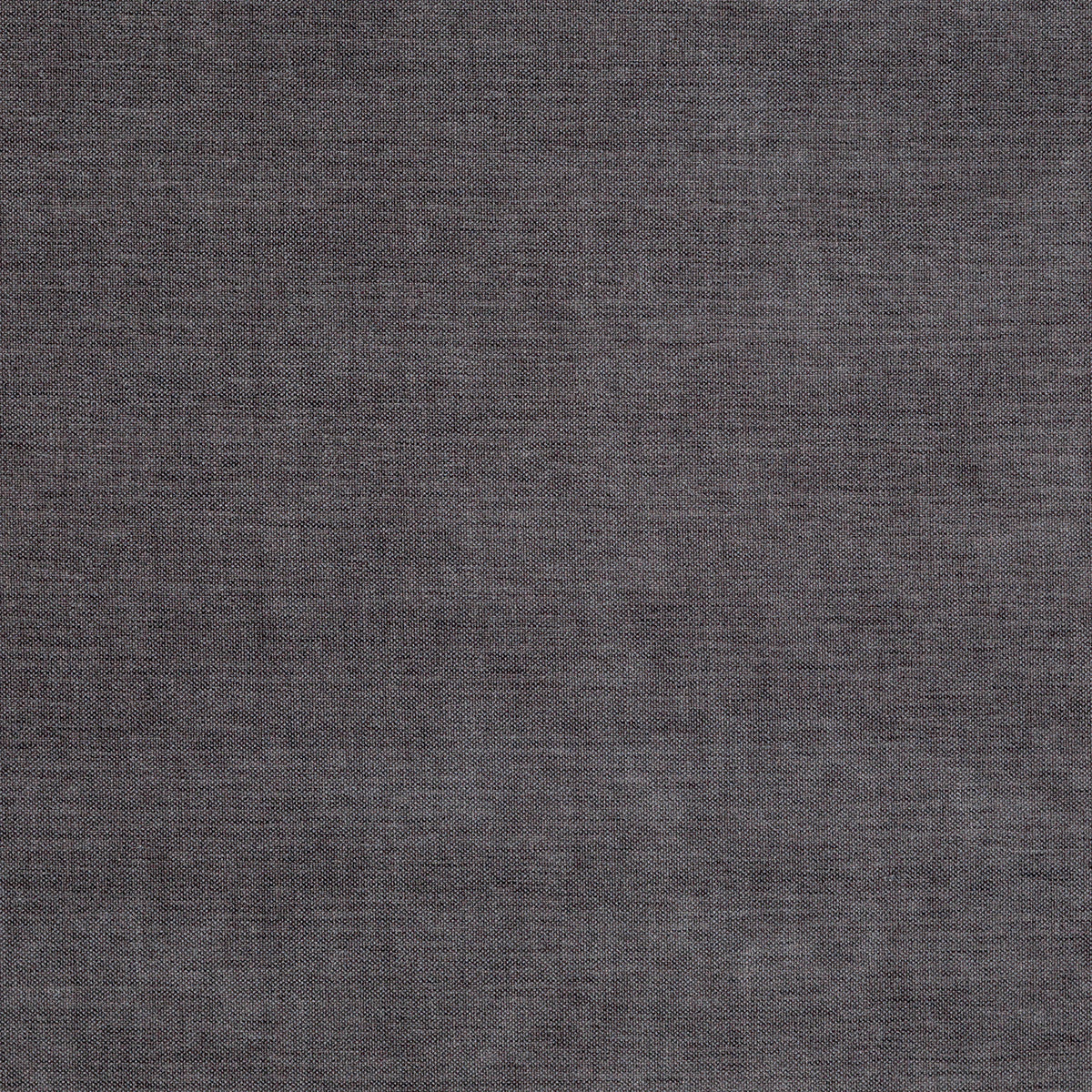 8402-paxton-thunder-pindler