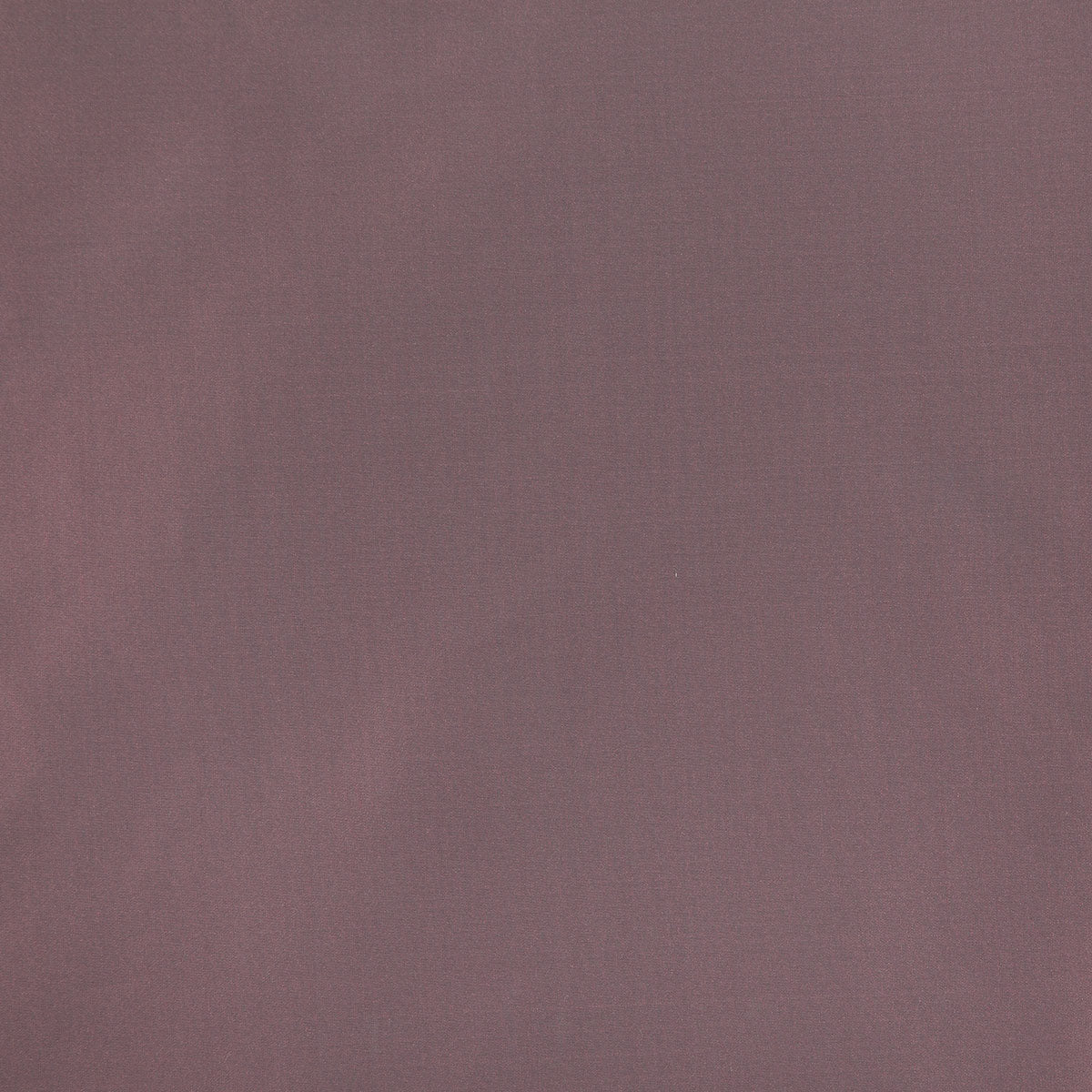 8403-raquel-amethyst-pindler