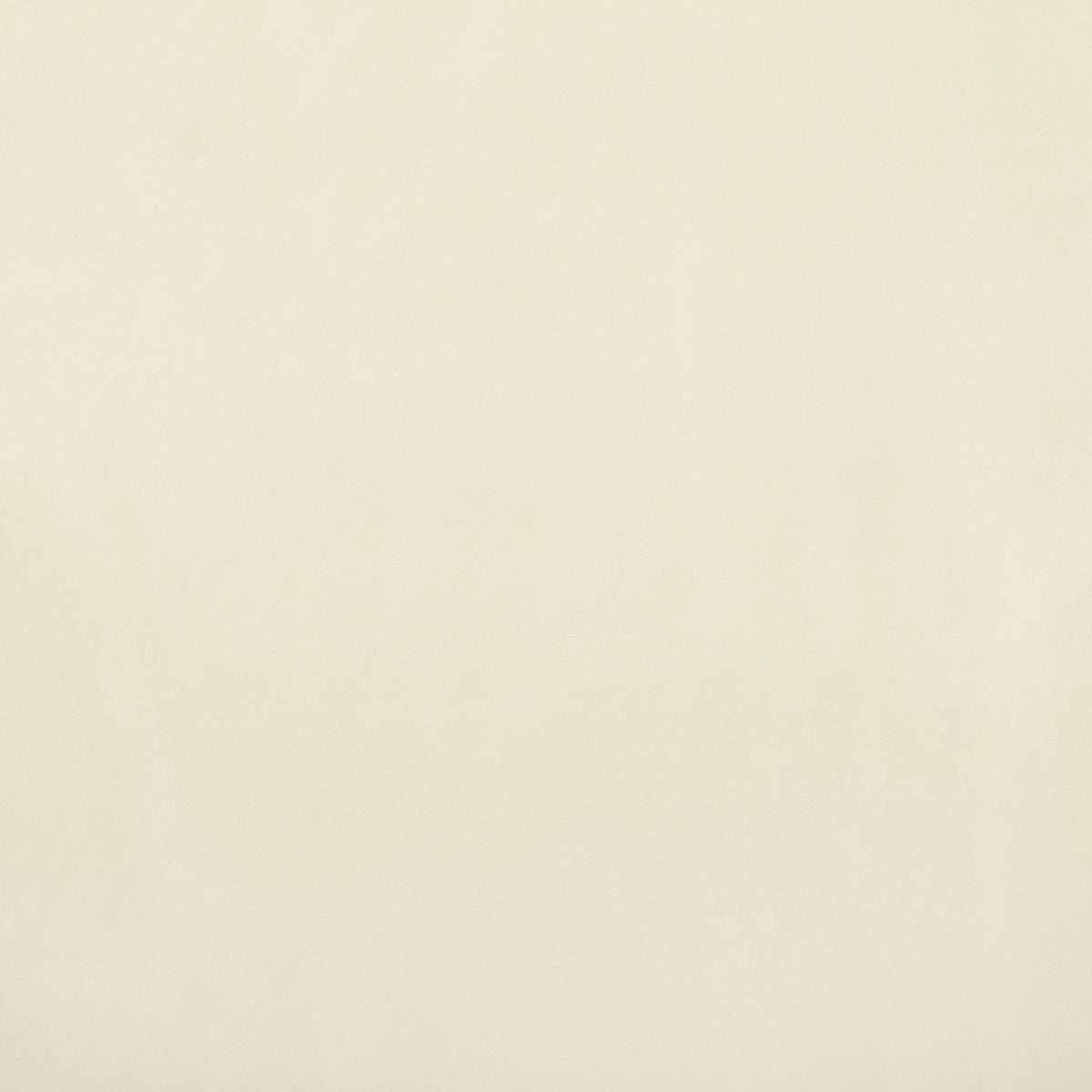 8403-raquel-birch-pindler