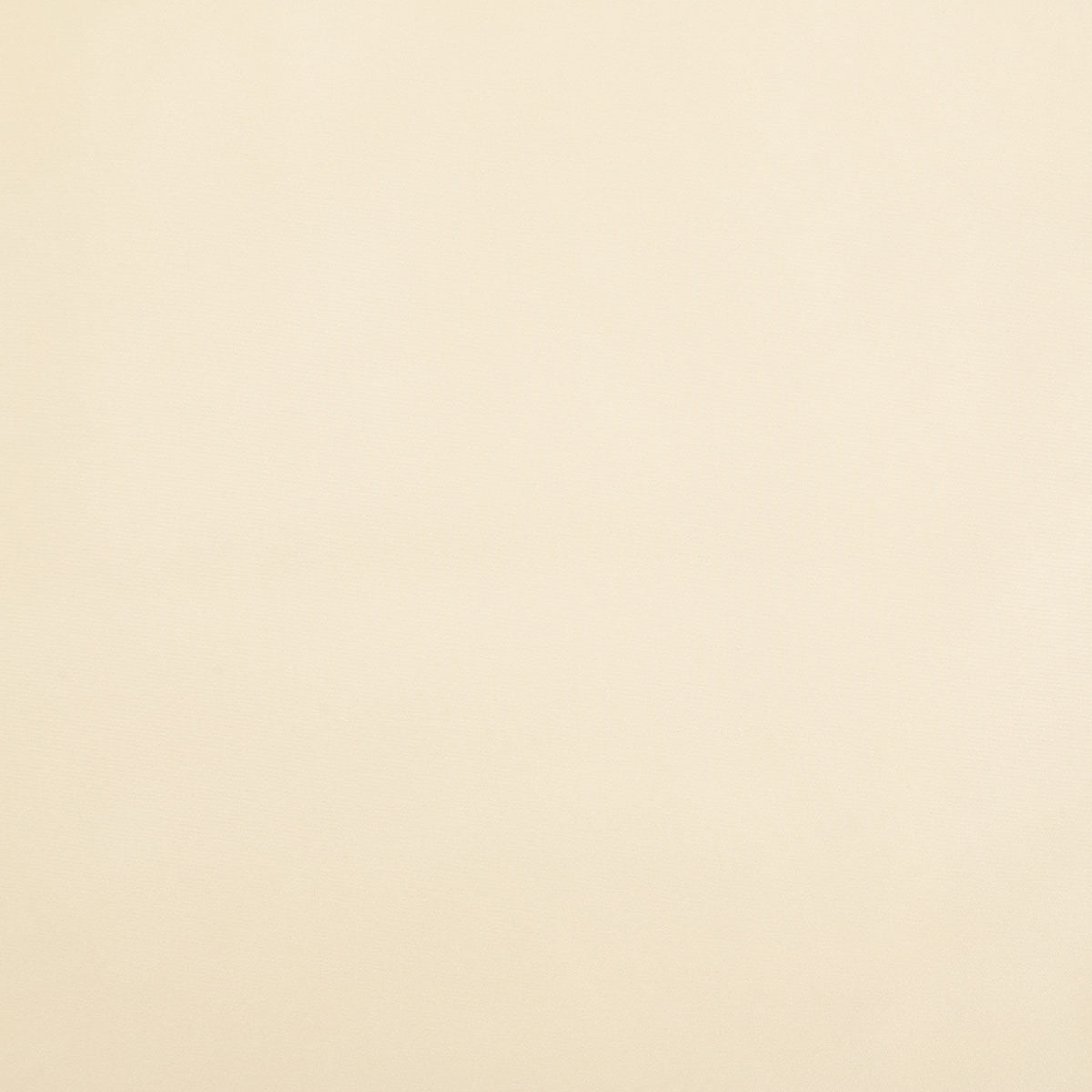 8403-raquel-biscuit-pindler