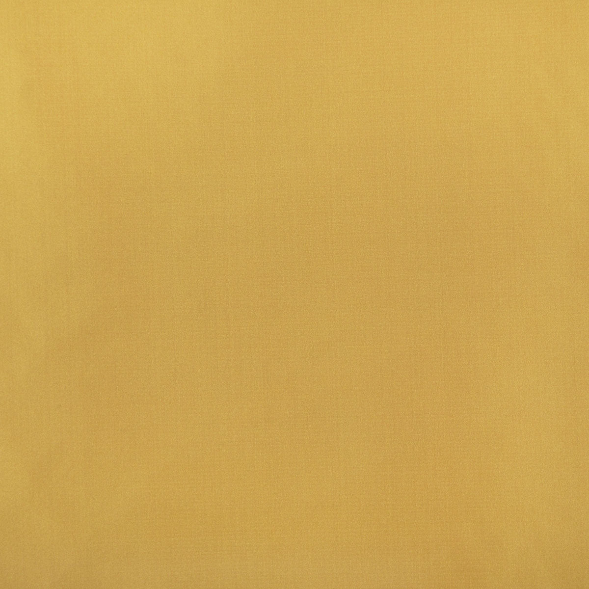 8403-raquel-gold-pindler