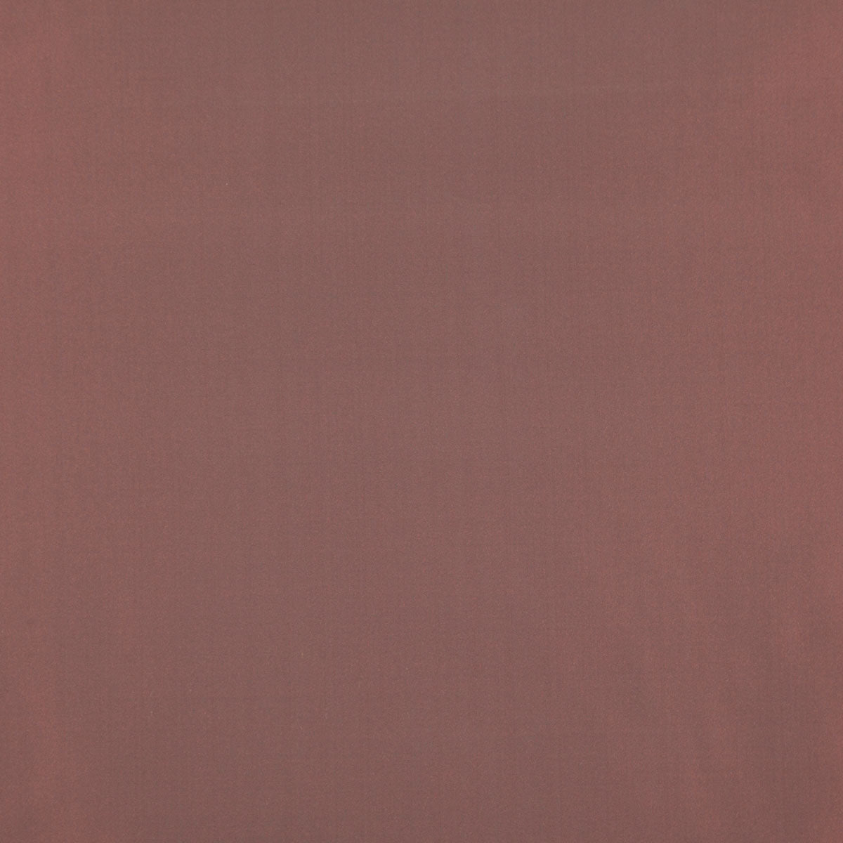8403-raquel-orchid-pindler