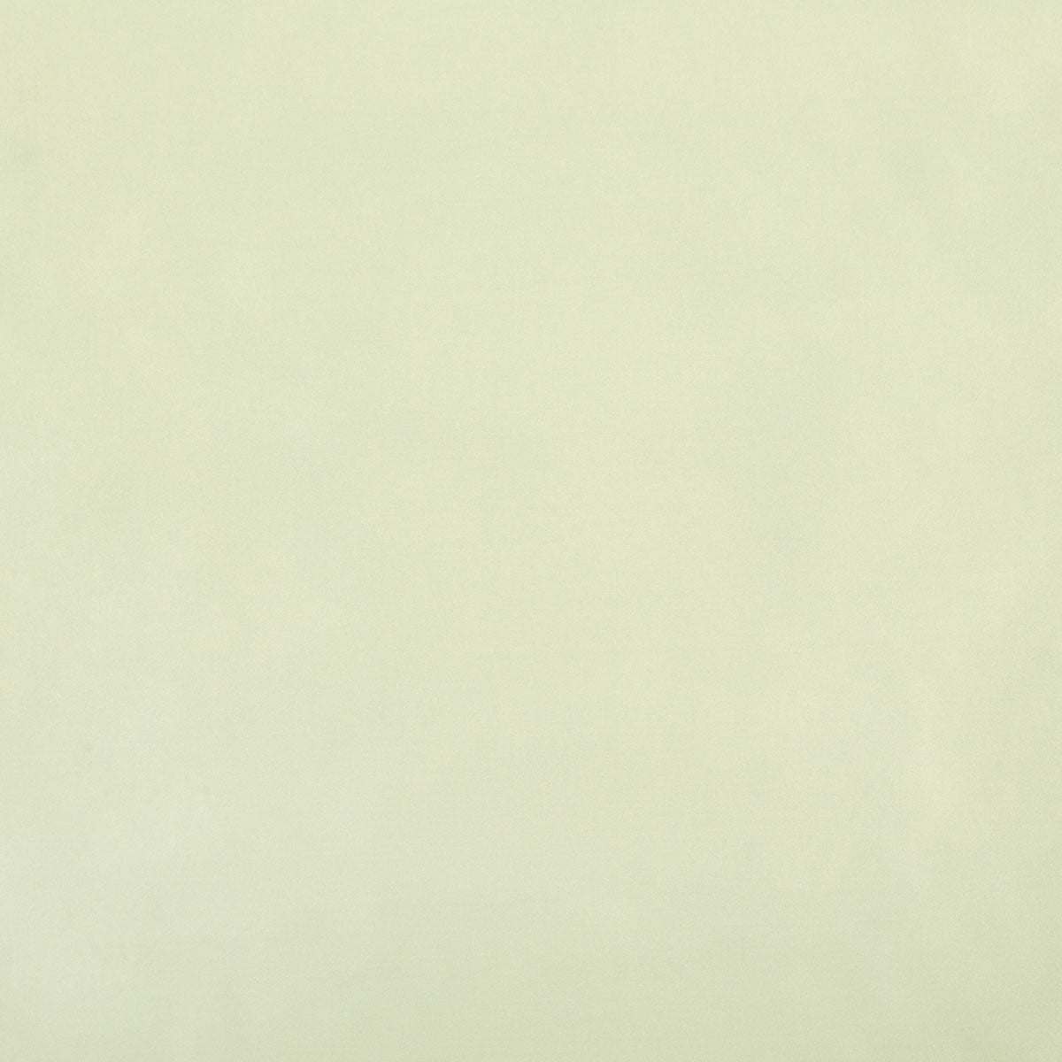 8403-raquel-seaglass-pindler