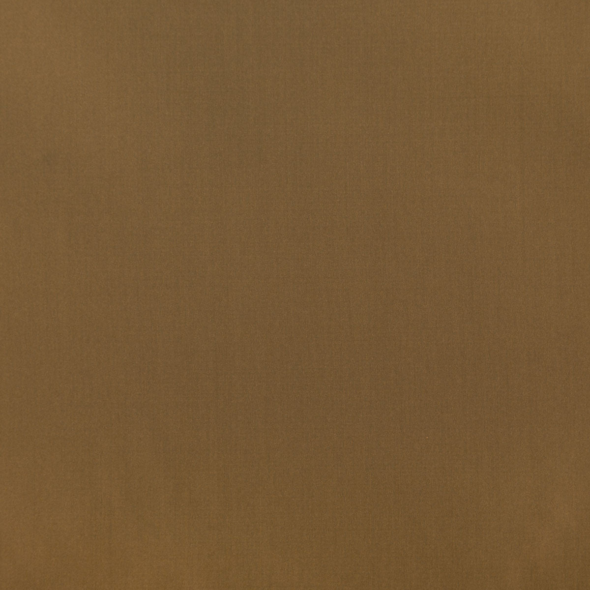 8403-raquel-woodland-pindler